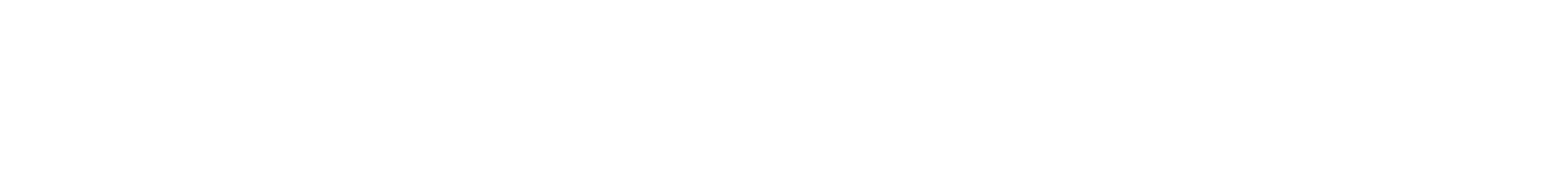 Lieberr Logo hell