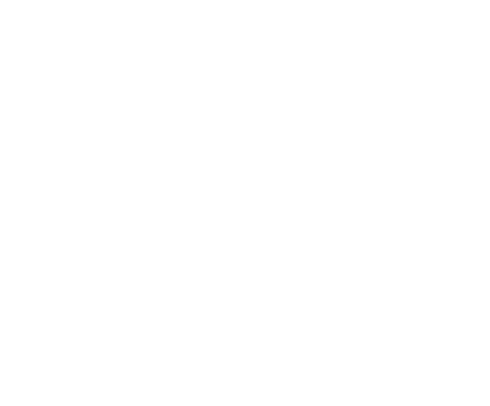 DLR Logo