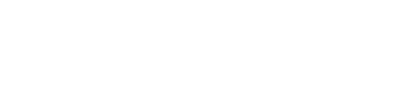 Zeiss Logo